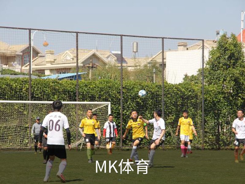走进MK体育